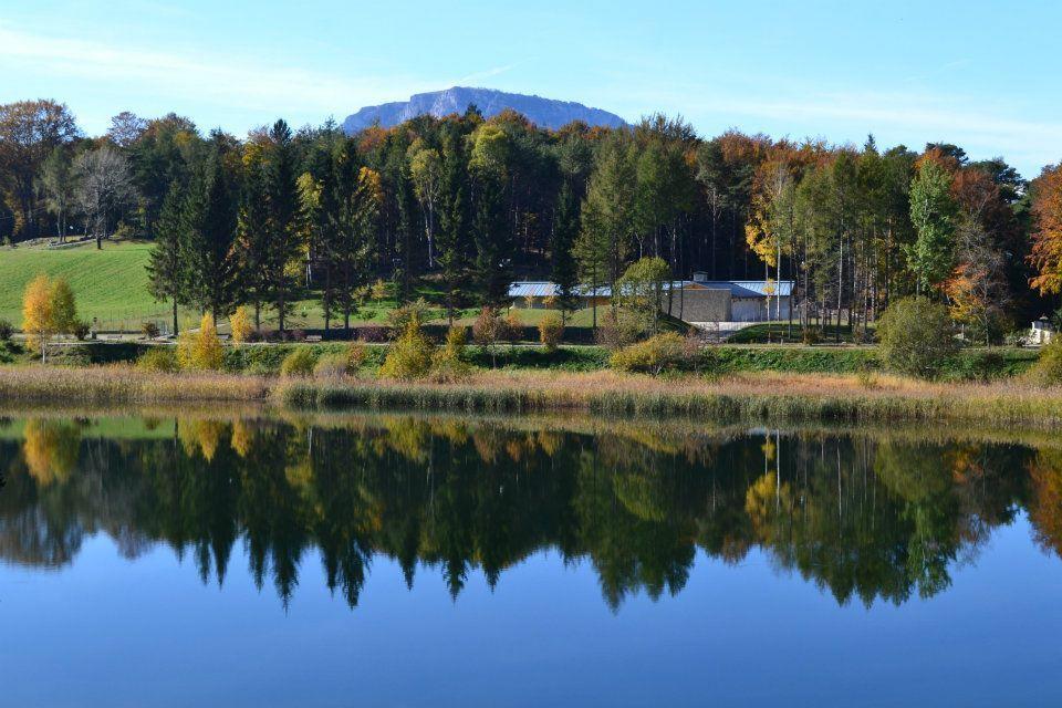 Appartamenti Vacanze Lagolo Lagolo di Calavino Экстерьер фото